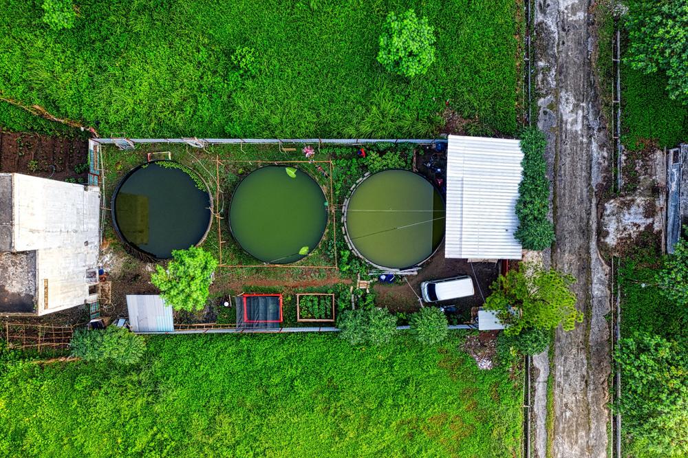 Aerial view of fish farm tanks